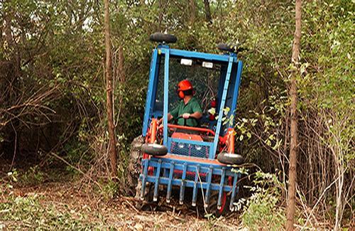 Brush can be cut and shredded several times more efficiently than cutting with chainsaws and feeding through chippers, plus most small stumps are eliminated and the soil is lightly tilled.