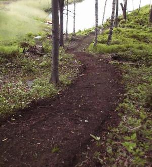 The light tilling of the trail surface fills holes and irregularities.