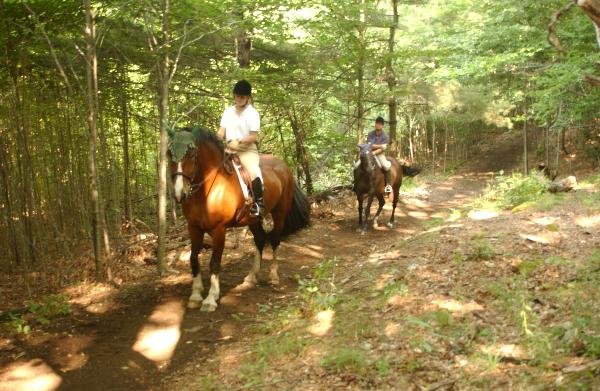 Trails 4 feet wide and wider can be constructed with far less disturbance than bulldozing.