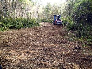 As the brush is chopped finer and finer by the mulcher, the brush and debris rake on the front pulls the larger pieces into piles making it easy to shred into even smaller pieces.