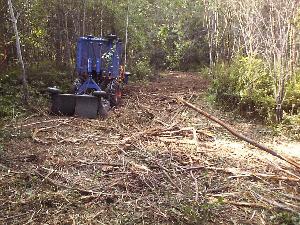 Forest Savers brush cutting machine chops down the heavy brush then mulches the small trees and limbs.