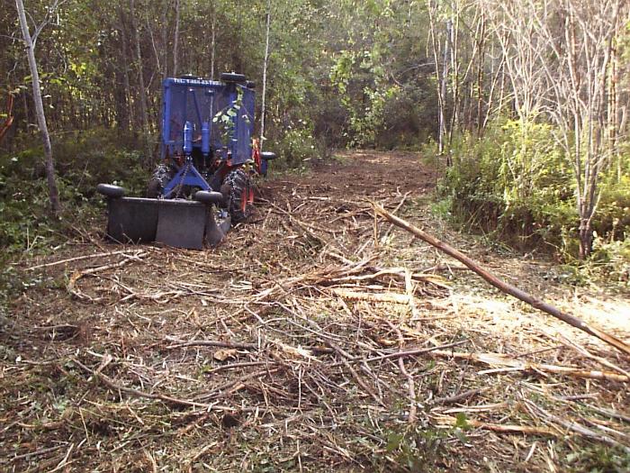 Forest Savers' heavy duty brush mulcher cuts through heavy brush and small trees then shreds them into mulch.