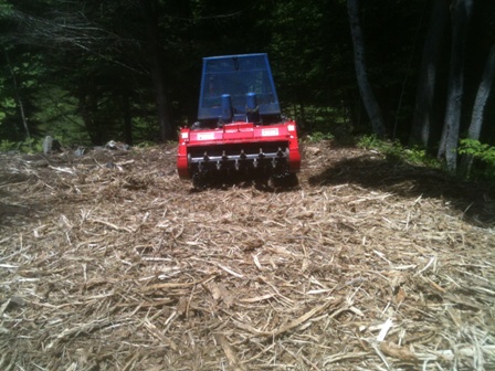 Shredded brush pile