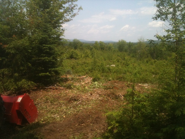 firebreaks