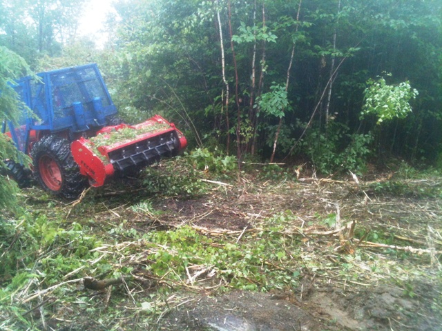 firebreak under construction